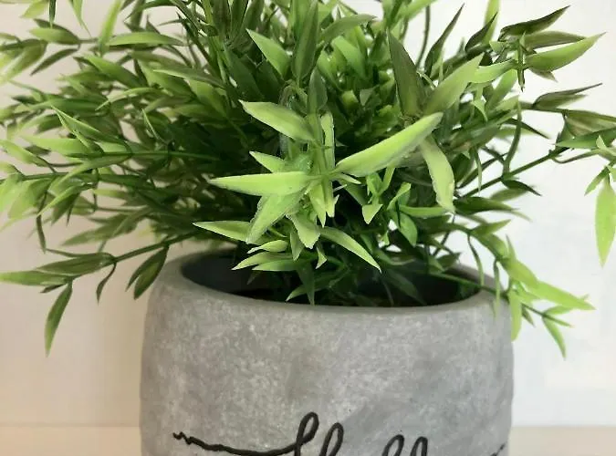 Modernes Mit Kuechenzeile Und Bad *